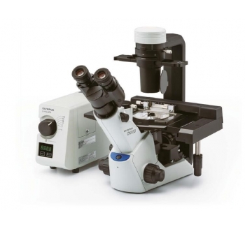 奧林巴斯CKX53倒置顯微鏡